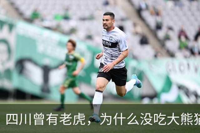 四川曾有老虎，为什么没吃大熊猫？护林员说：80%的人不知道，老虎就算“饿疯了”，也不会将大熊猫当作美餐