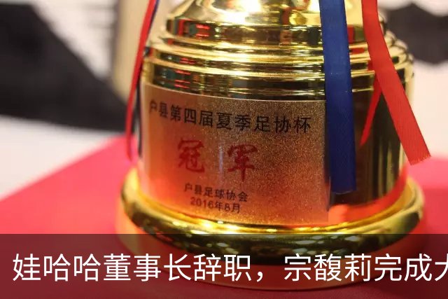娃哈哈董事长辞职，宗馥莉完成大清洗