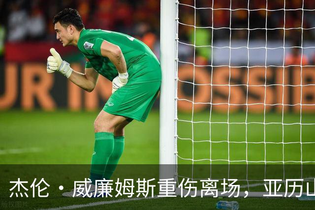 杰伦·威廉姆斯重伤离场，亚历山大含泪：撑到他回来