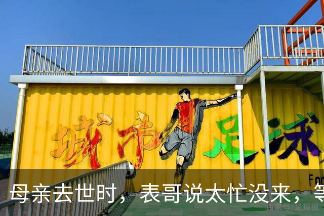 母亲去世时，表哥说太忙没来，等到舅舅离世，我选择了这样做