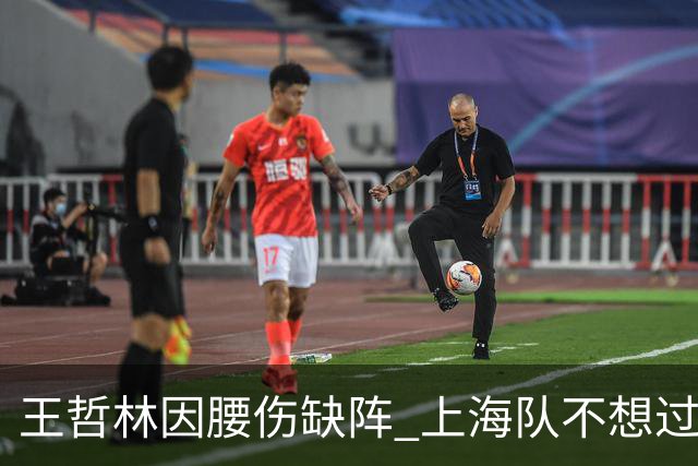 王哲林因腰伤缺阵 上海队不想过度使用大王