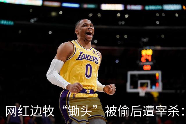 网红边牧“锄头”被偷后遭宰杀：主人接受和解，将全额捐出赔偿金