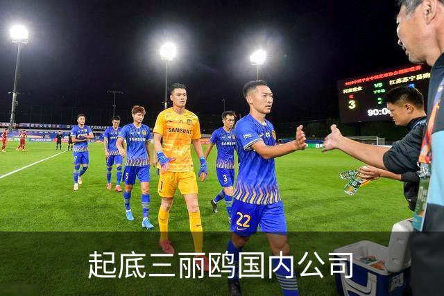 起底三丽鸥国内公司