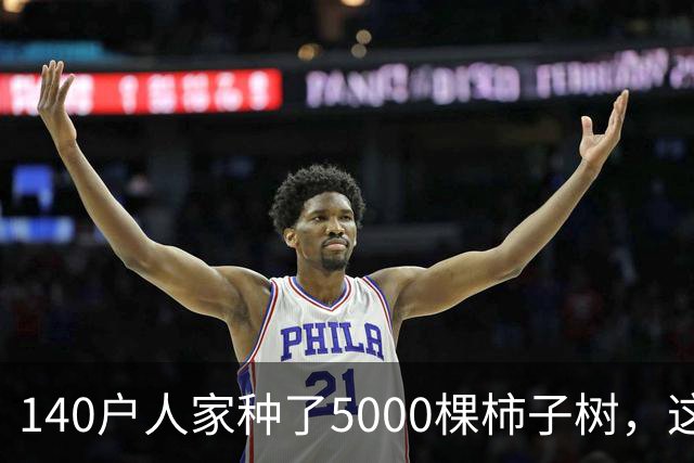 140户人家种了5000棵柿子树，这个浙江小村国庆6天来了8万人