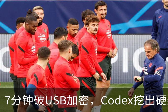 7分钟破USB加密，Codex挖出硬编码密钥